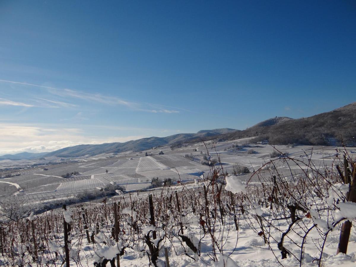 Au Coeur Des Vignes Διαμέρισμα Bergheim Εξωτερικό φωτογραφία