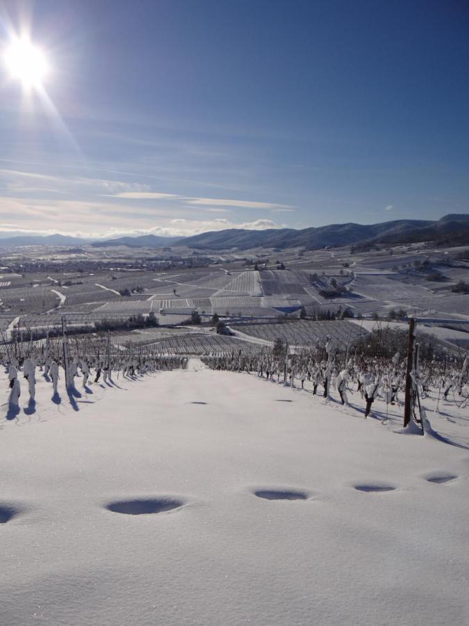 Au Coeur Des Vignes Διαμέρισμα Bergheim Εξωτερικό φωτογραφία