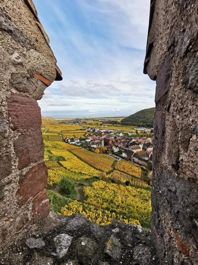 Au Coeur Des Vignes Διαμέρισμα Bergheim Εξωτερικό φωτογραφία